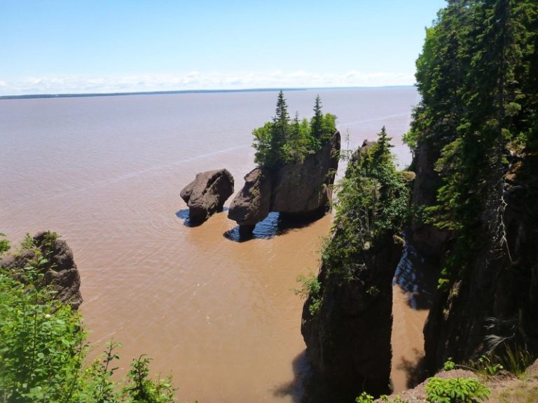 Kayaking Hopewell Rocks on the Bay of Fundy