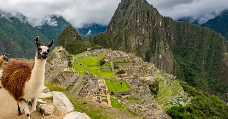 Peru SIM Cards: Everything You Need To Know | 2022
